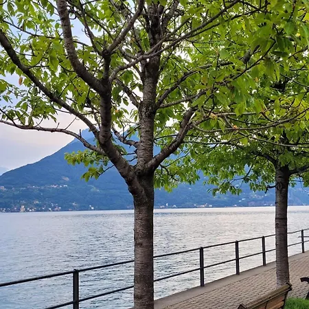 Cipresso 19 Acquaseria